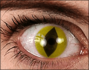 Lentillas anuales gato, lagarto o reptil (theatrical lenses)