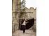 Capa medieval de lana con broche de metal